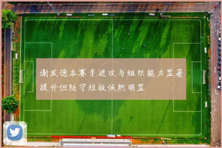 谢泼德本赛季进攻与组织能力显著提升但防守短板依然明显